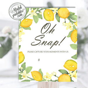 Lemon Bridal Shower signs