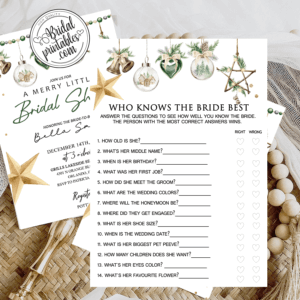 christmas ornaments Winter Bridal Shower games